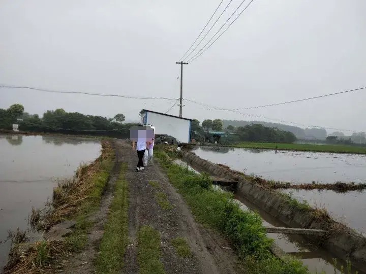 泰州姜堰：二哈在一鸡舍犯下“命案”，场面令人忍俊不禁