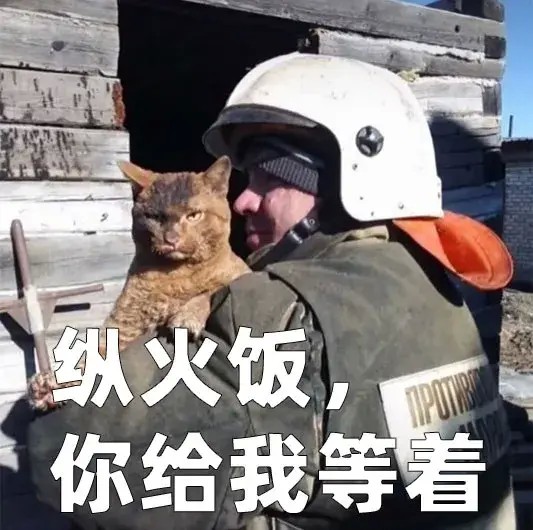 世界上只有两种猫俄罗斯的猫和其他猫