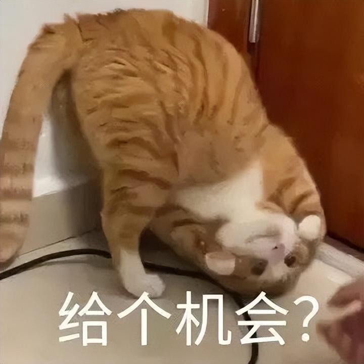 我以为猫丢了结果一扭头...在粪坑里看到俩发光的镭射眼！